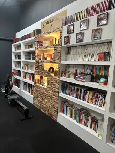 Création d’une bibliothèque sur mesure à Castelginest, Toulouse, MP Services
